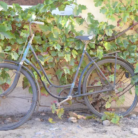 アパート Naehe Dahme-mark Ihlow